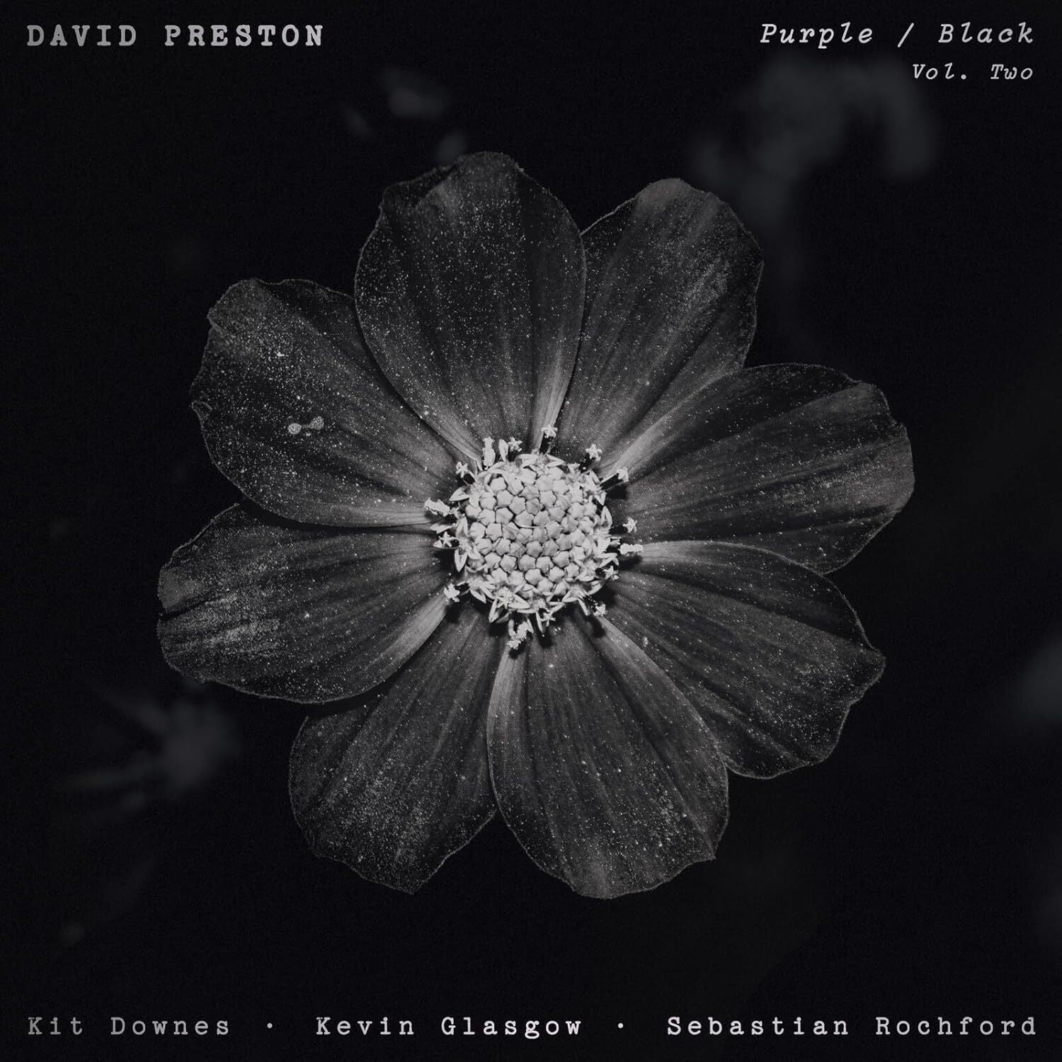 Volume 2 - Purple/black