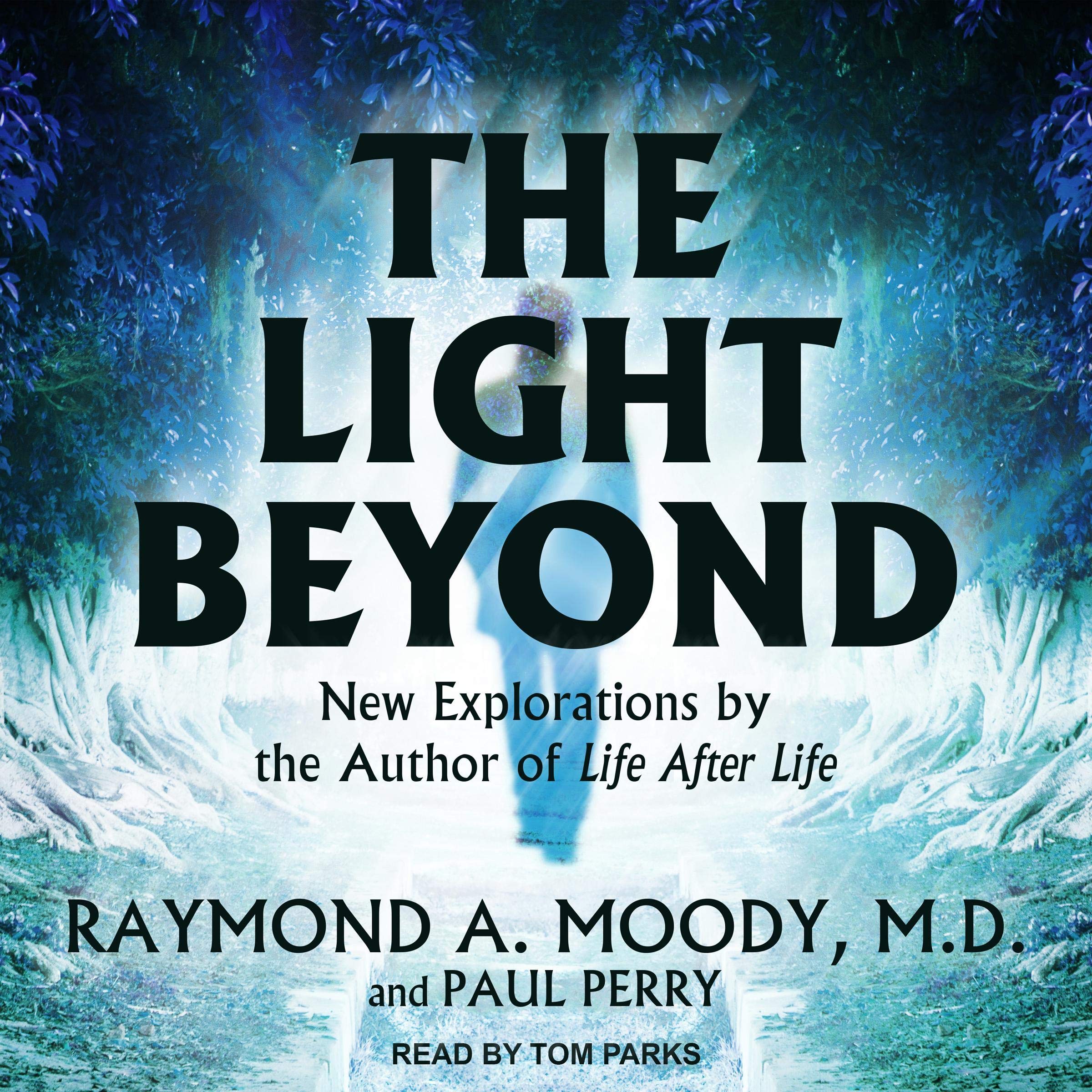 The Light Beyond DVD