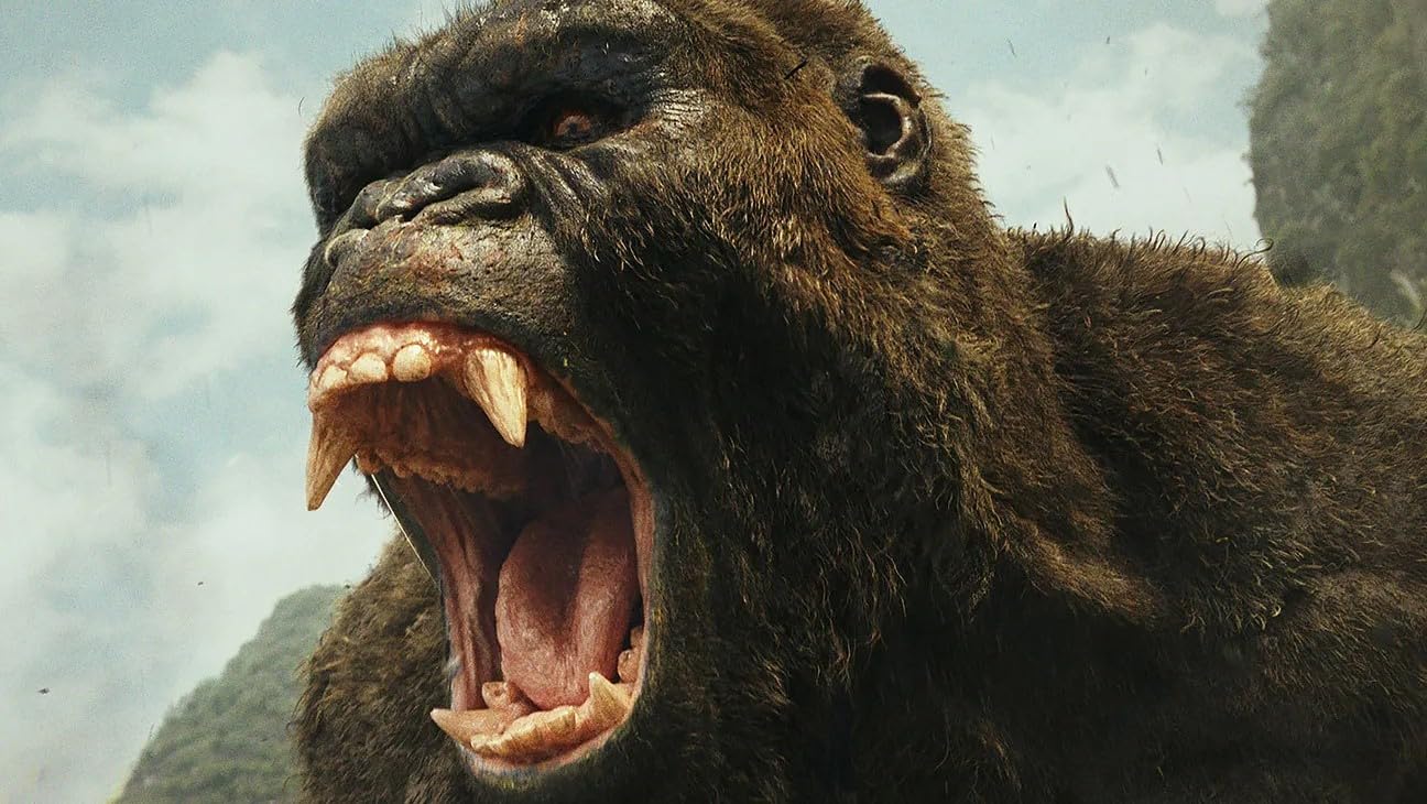Godzilla & Kong - Coffret 5 films