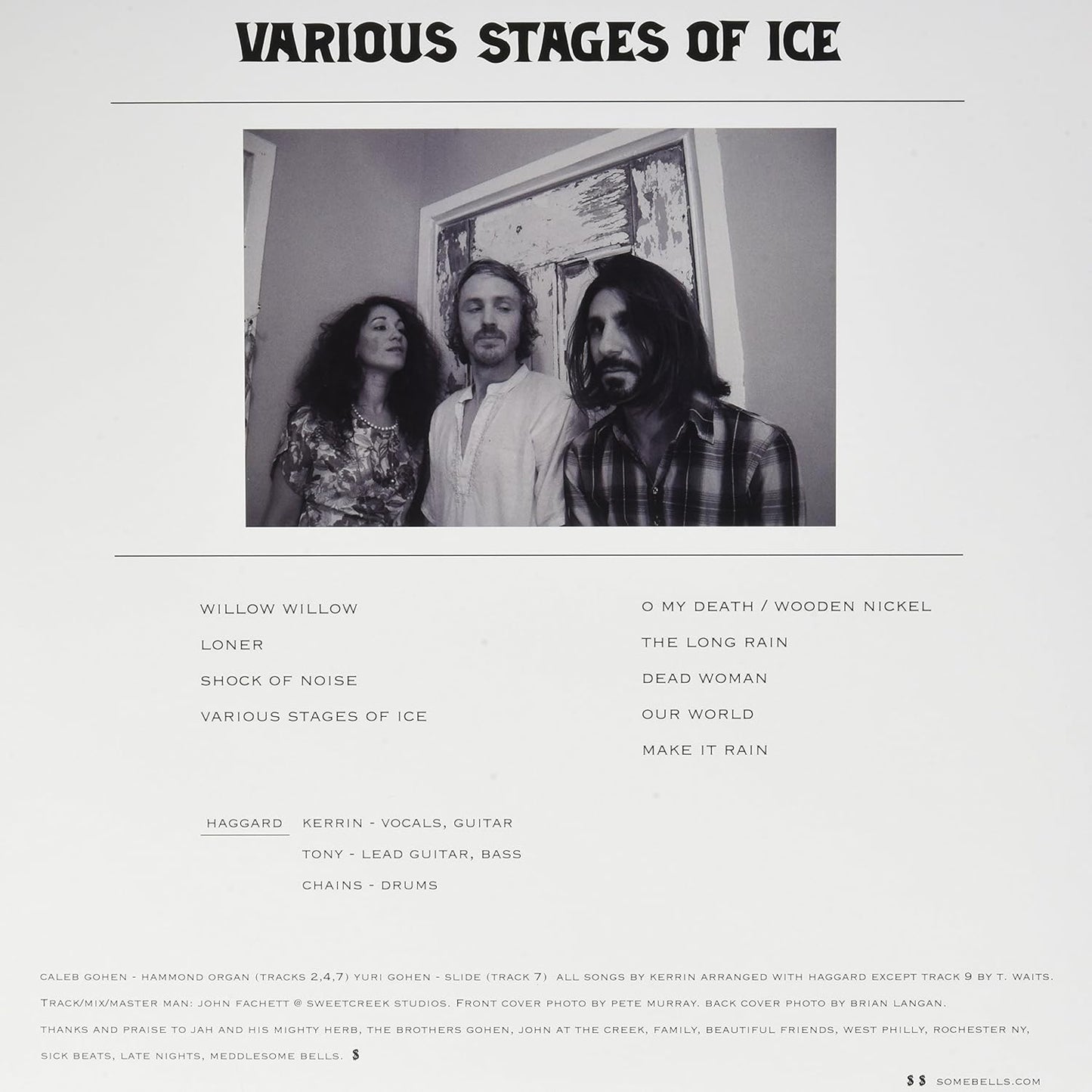 Various Stages of Ice