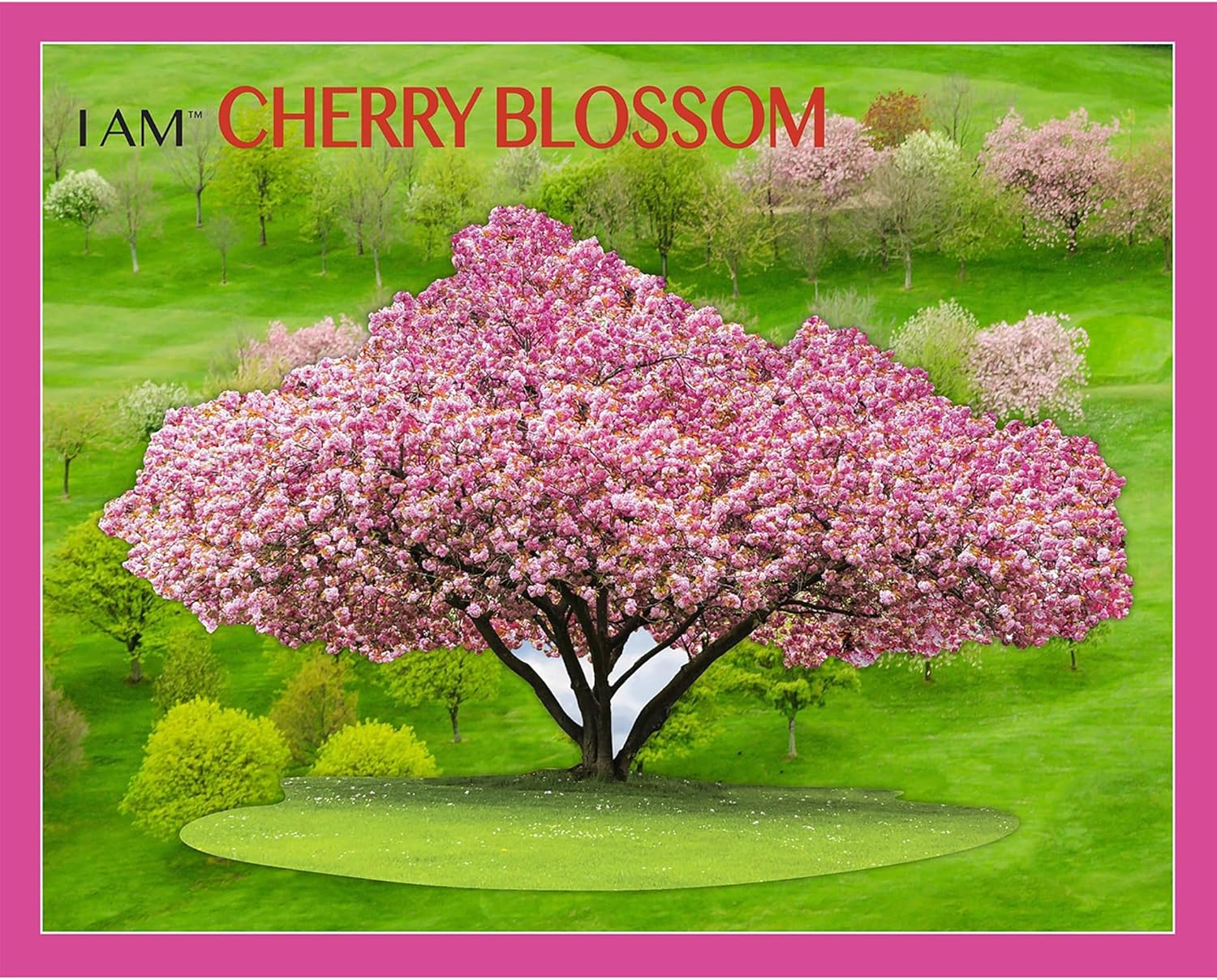 Madd Capp: I Am Cherry Blossom - 1000 Piece Tree Shaped Jigsaw Puzzle, 25x38 Finished Size, Includes Educational Fun Fact Booklet, Nature Puzzle