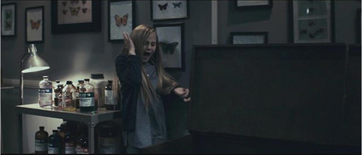 Butterfly Room