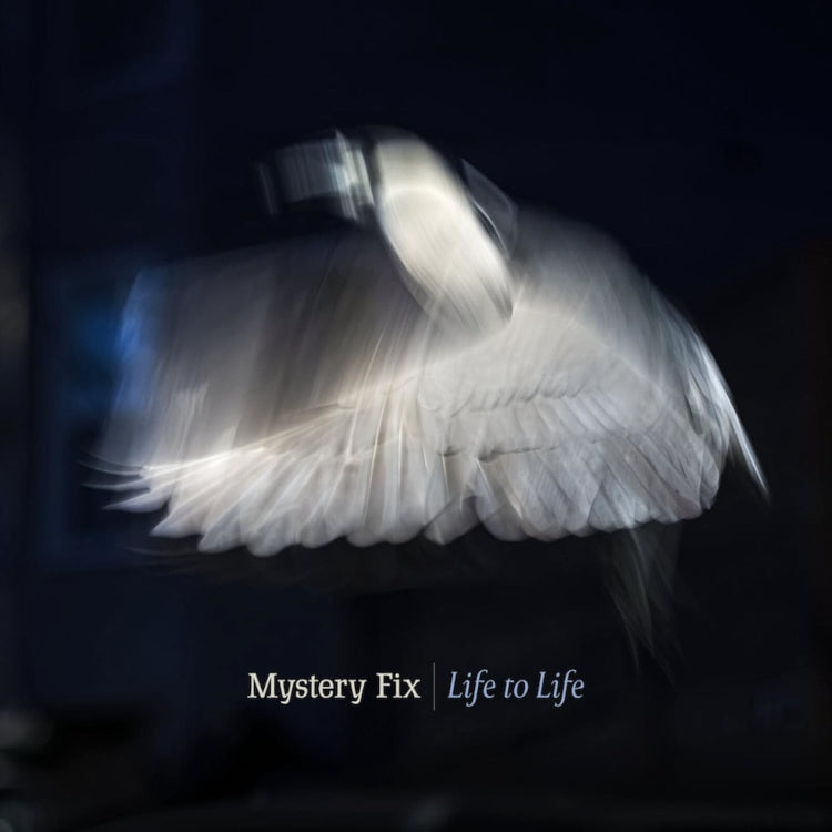 Life to Life