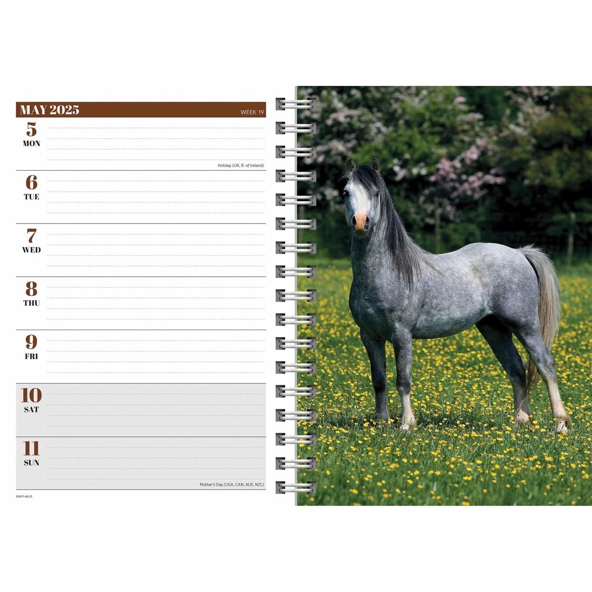 2025 Horses A5 Engagement Diary Wiro