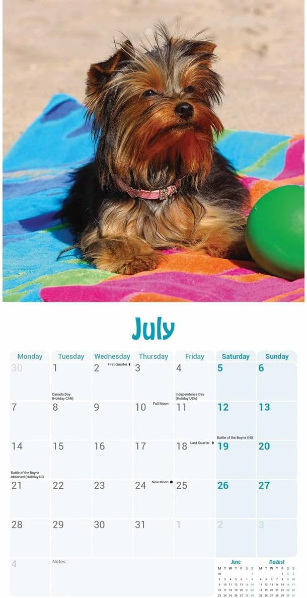 Yorkshire Terrier Puppies Mini Wall Calendar 2025 (PFP)
