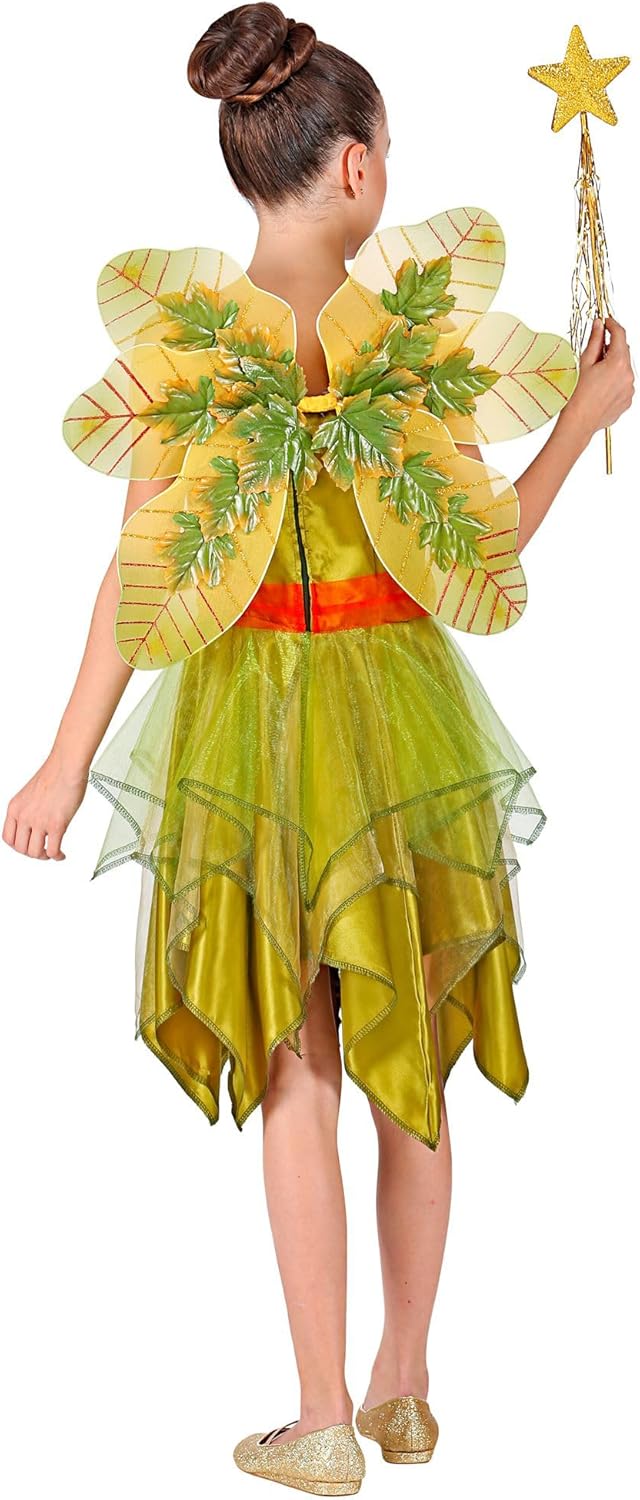 Widmann Girl's Fatina Dei Boschi Costume (104 cm / 2-3 Years) Multi-coloured