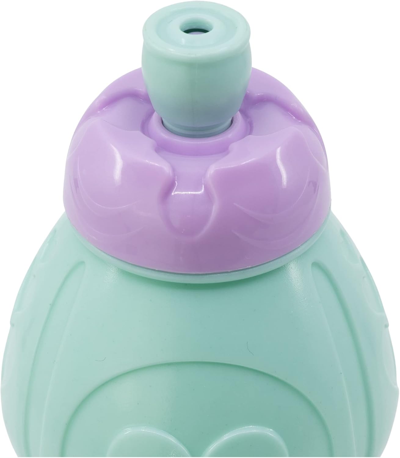 Stor - Sports Water Bottle - Frozen 2 (088808719-74232 )