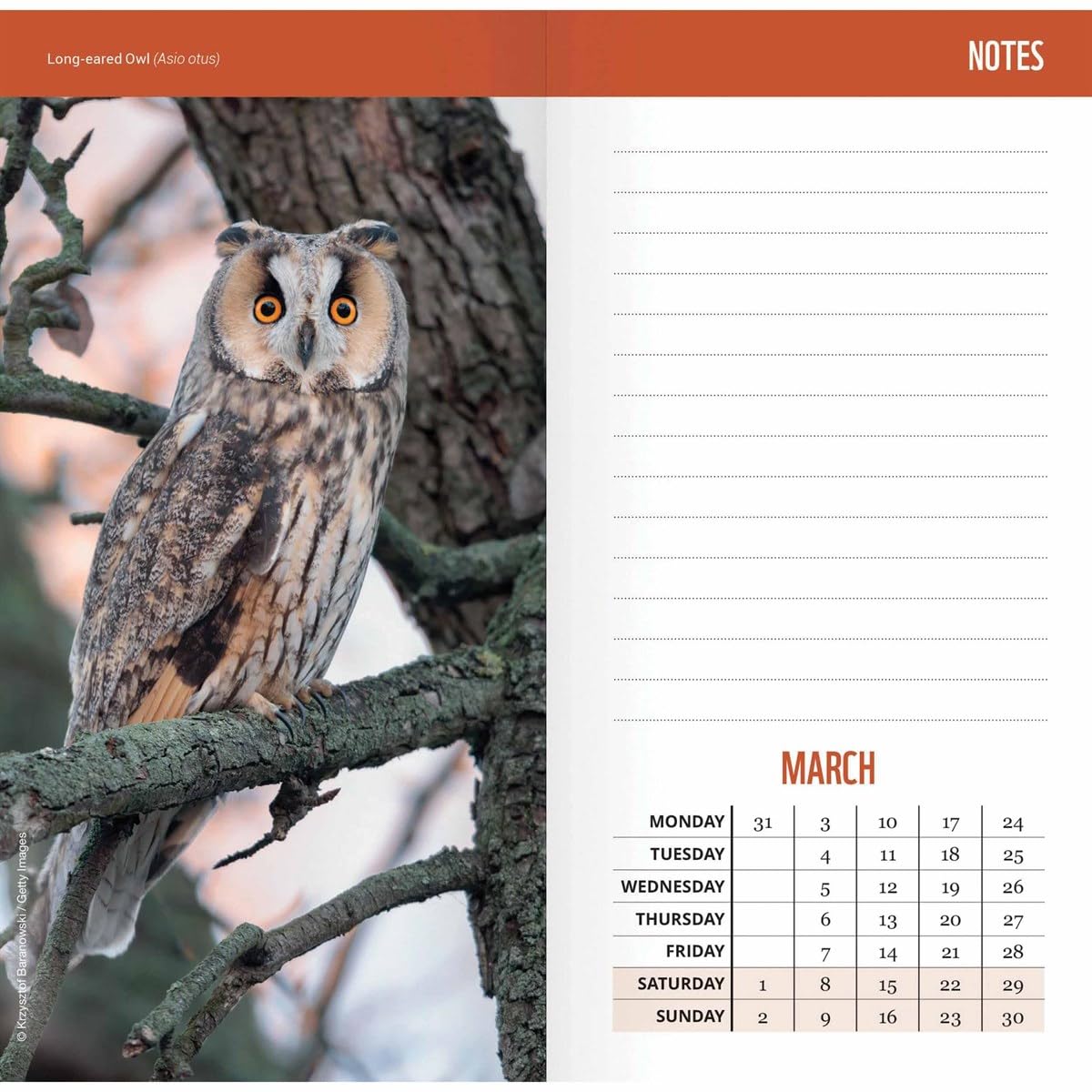 2025 Wwf Wild & Free Slim Diary