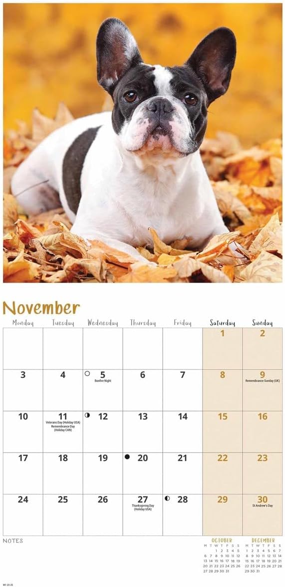 French Bulldogs Mini Wall Calendar 2025 (PFP)