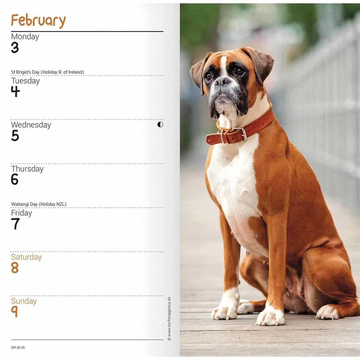 Carousel Calendars Boxers Slim Diary 2025 (PFP)
