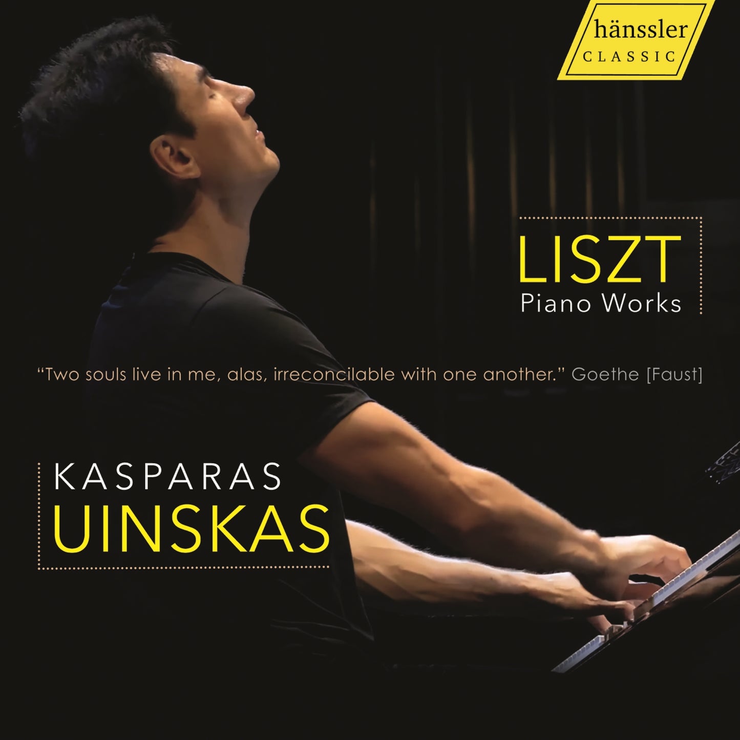 Liszt: Piano Works
