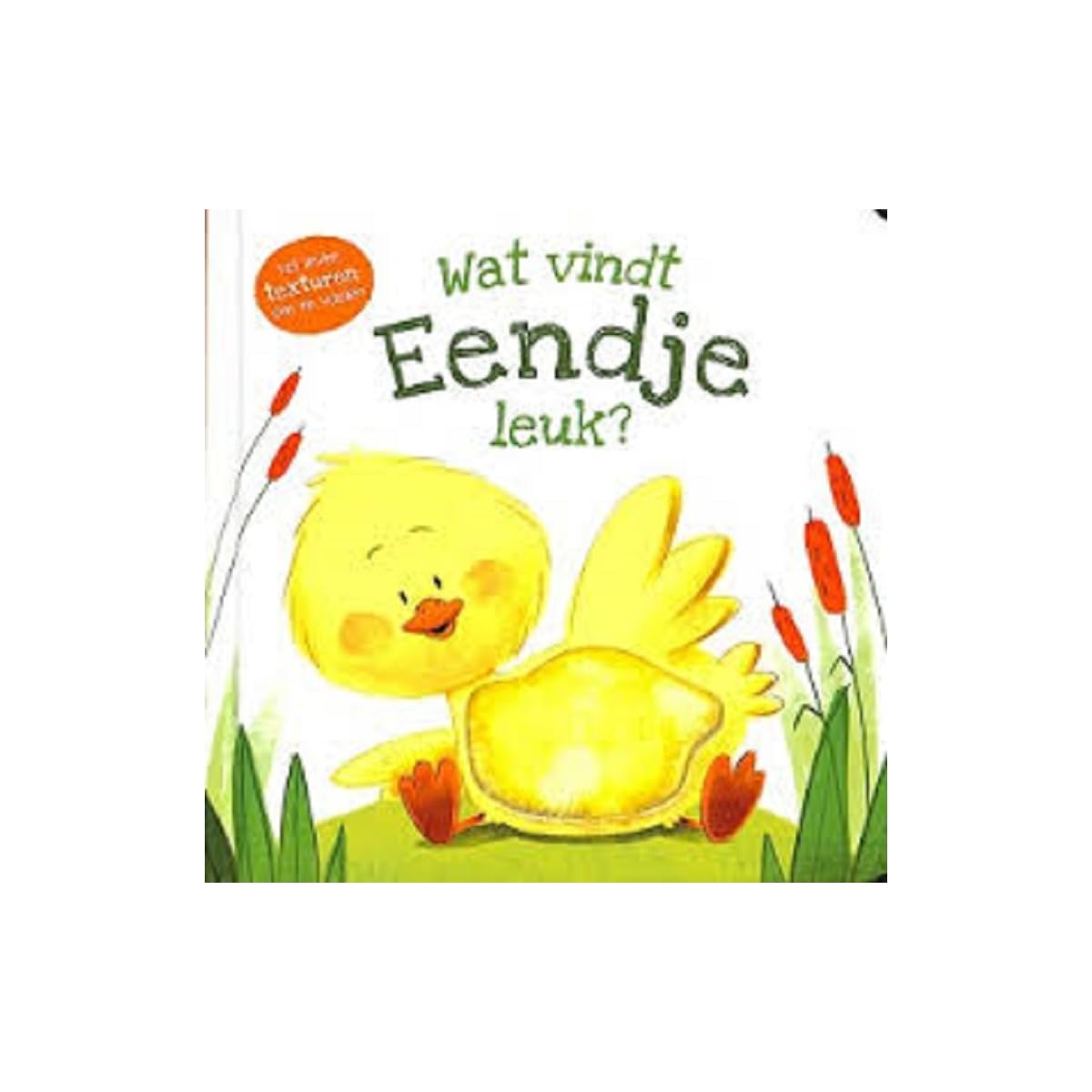 Rebo Publishers - Voelboek - Wat vindt Eendje leuk?