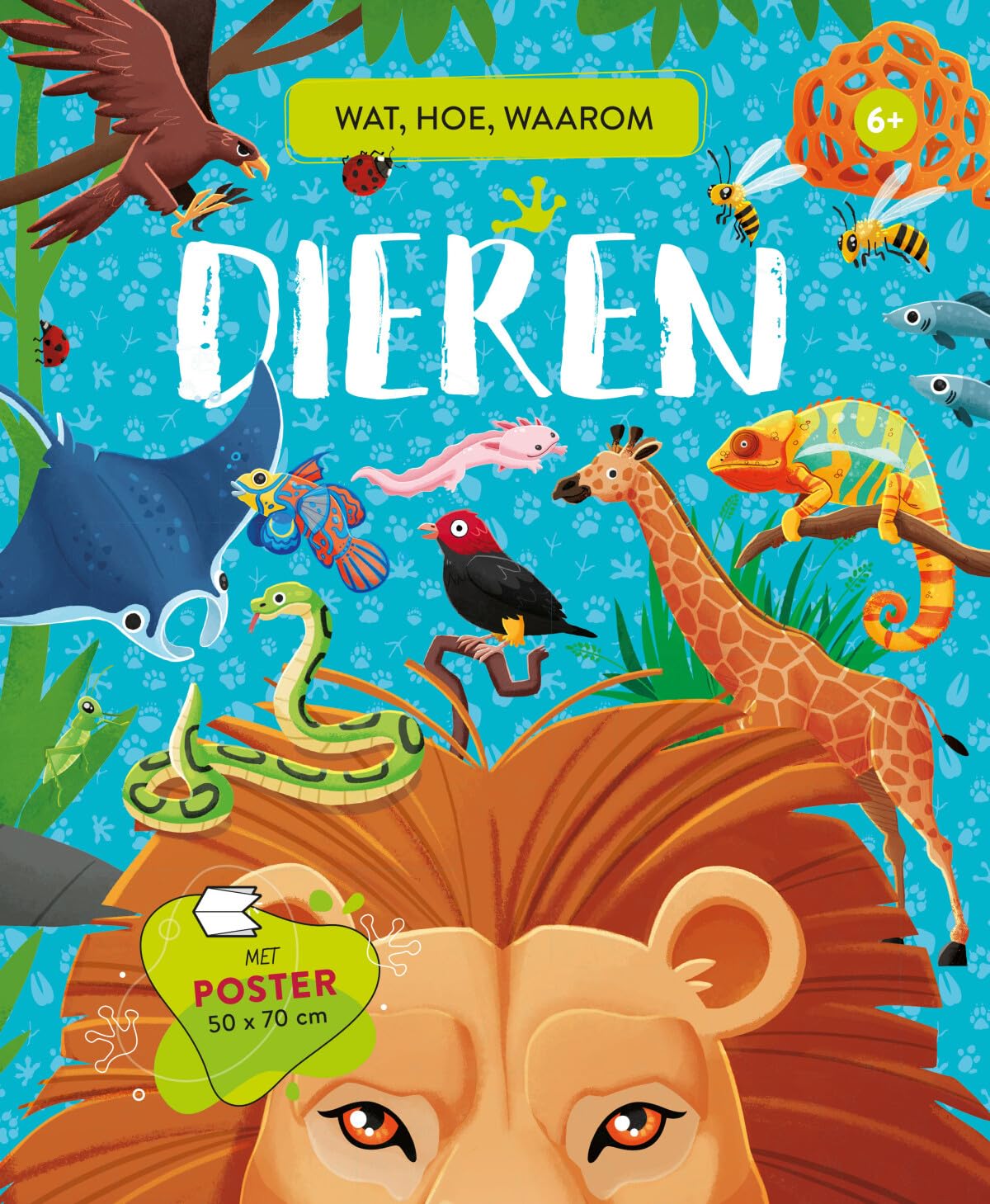 Dieren - Wat, hoe, waarom: Met poster 50 x 70 cm