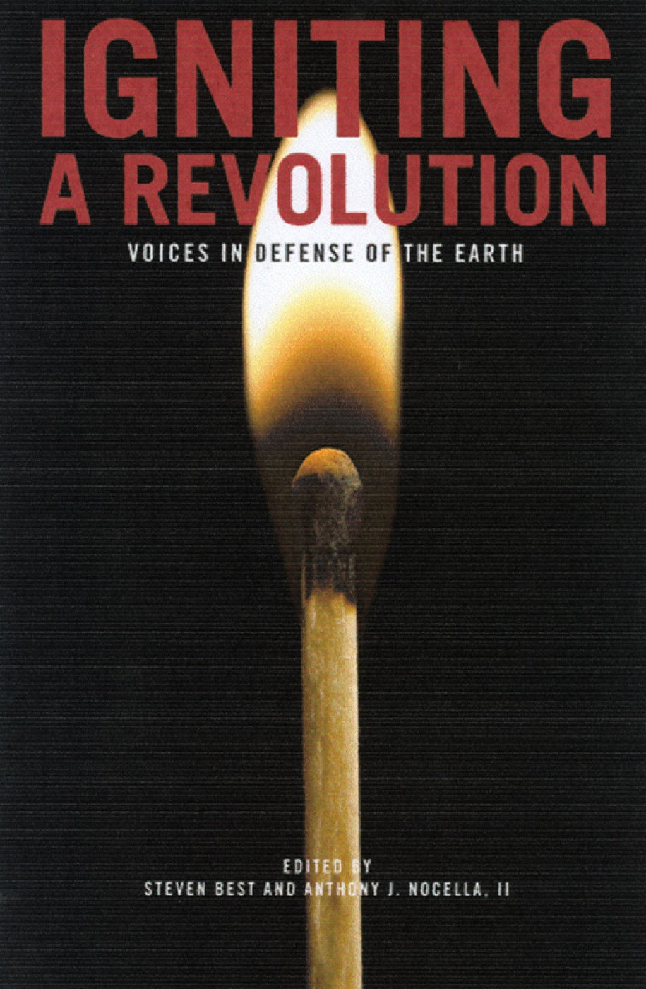 Igniting A Revolution
