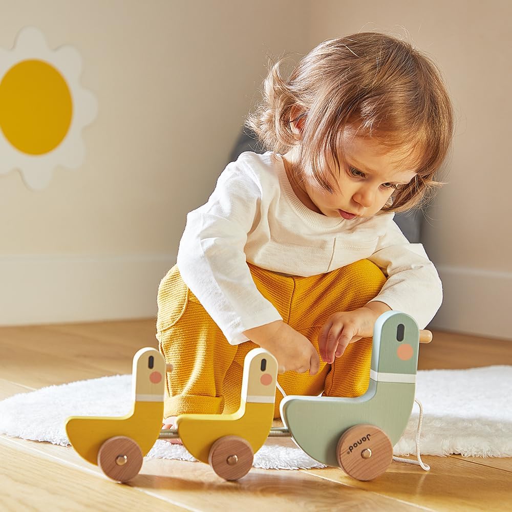 JANOD - Educatieve spellen, meerkleurig (J04051