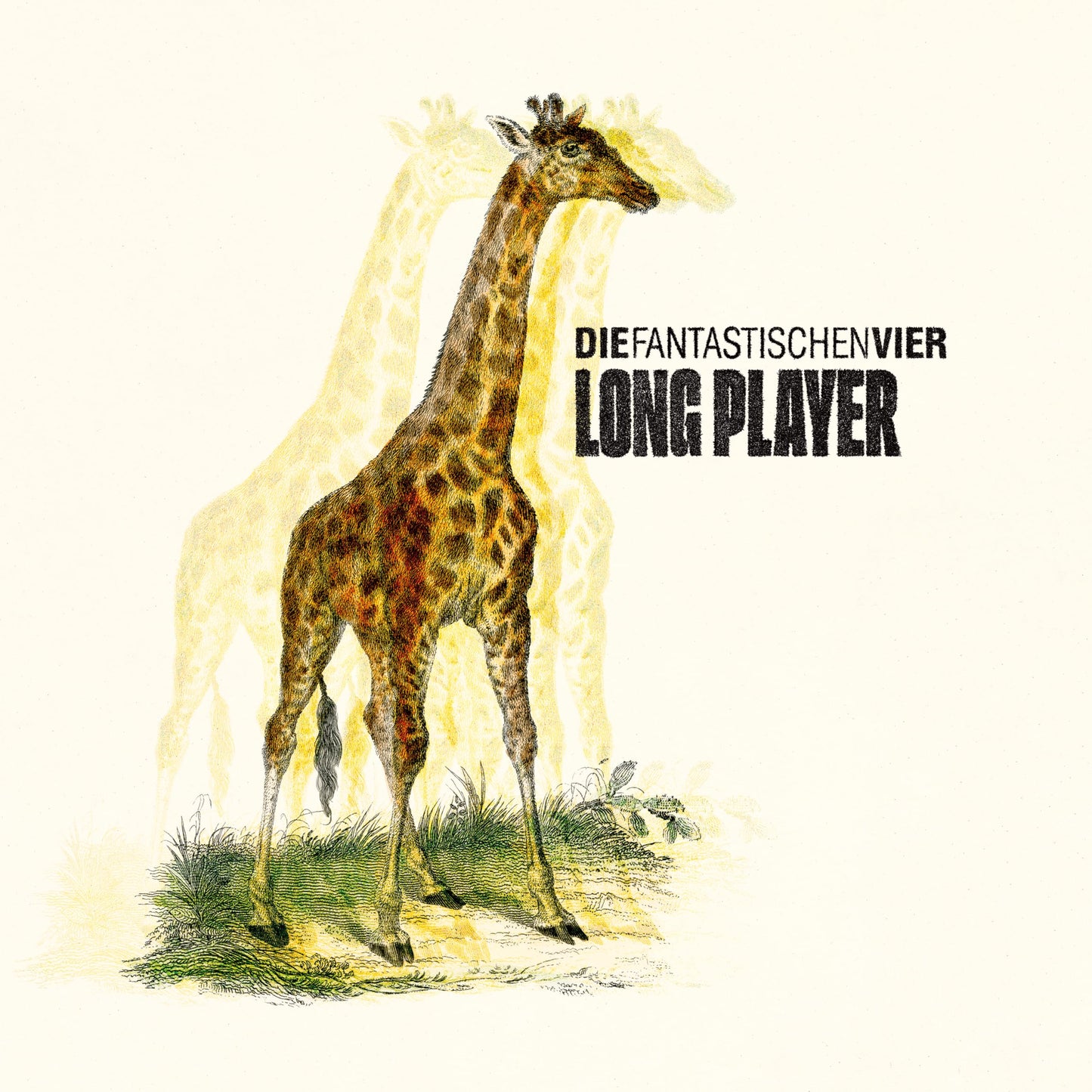Long Player