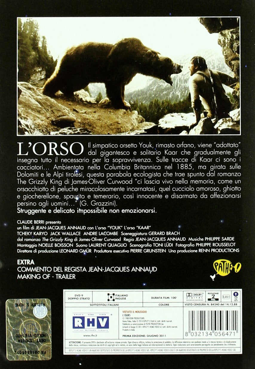 L'orso
