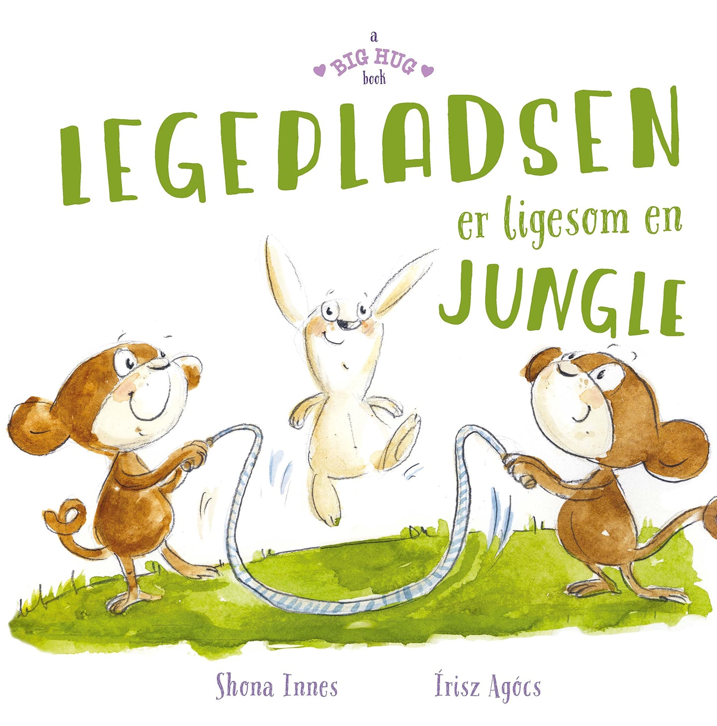 A Big Hug Book - The Playground Is Like A Jungle