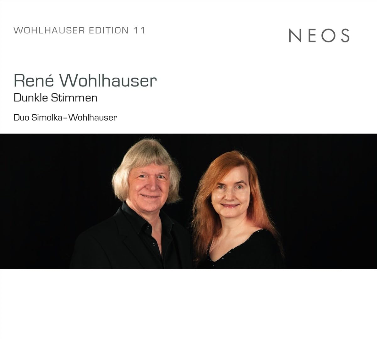 Dunkle Stimmen (Wohlhauser ed.11