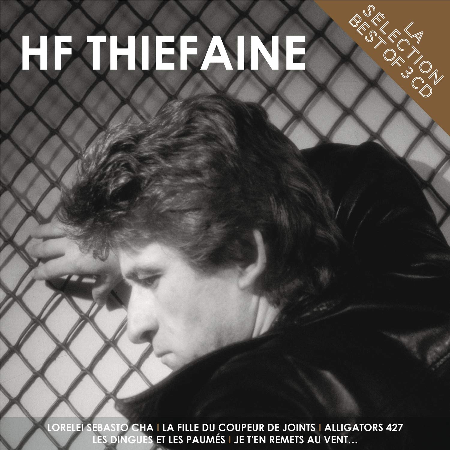 Hubert-Felix Thiefaine - La Selection