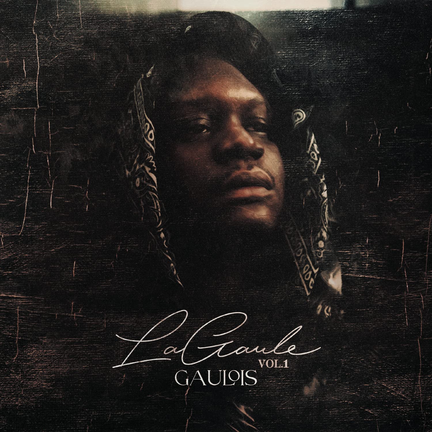 La Gaule, Vol.1
