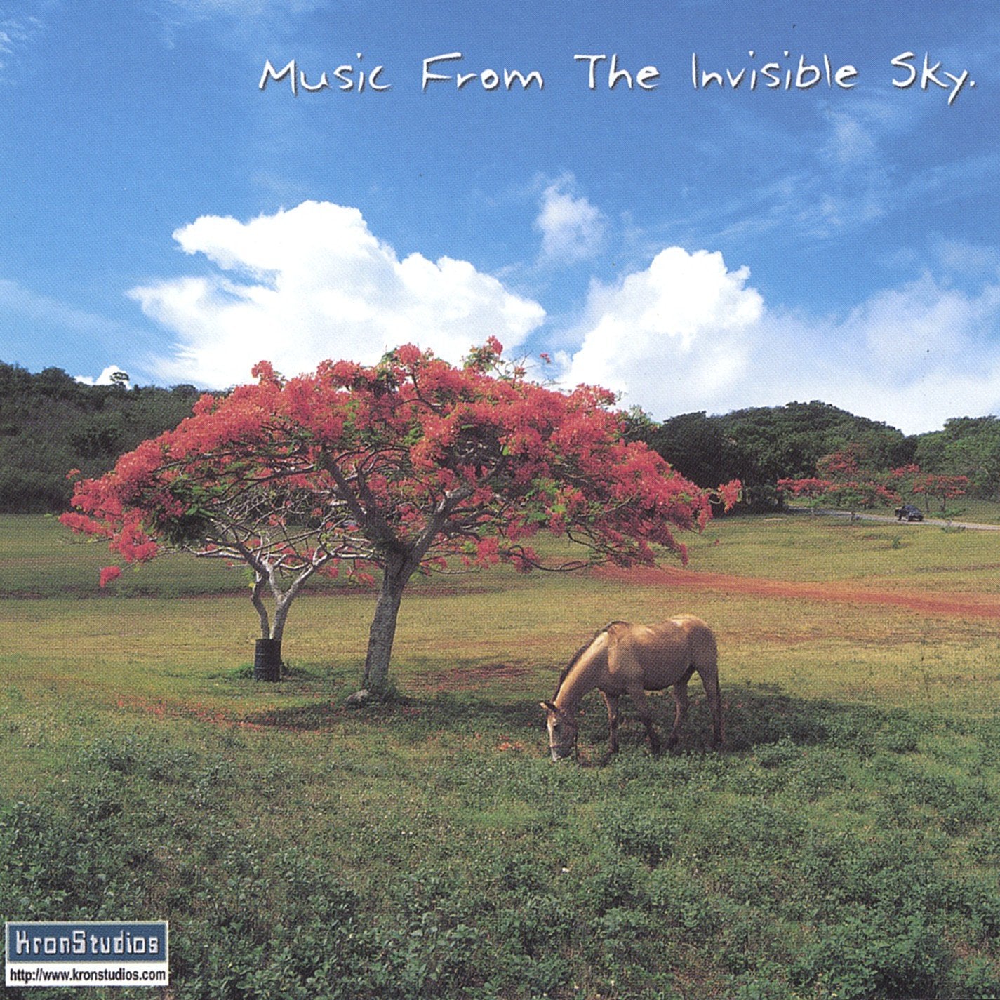 Music From The Invisible Sky