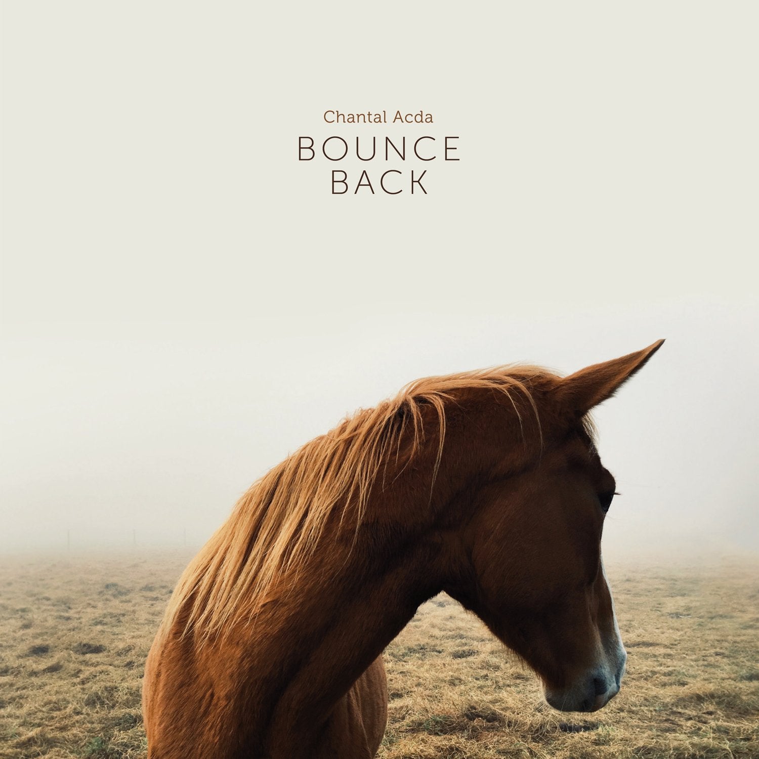 Chantal Acda - Bounce Back