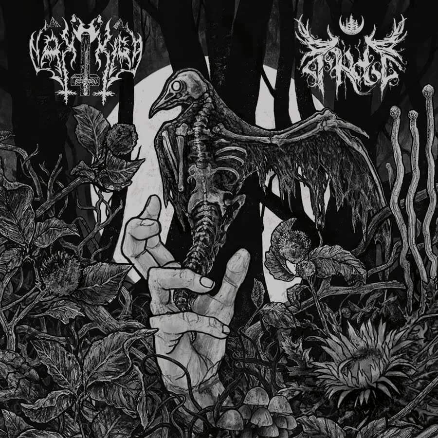Nakkiga/Arde
