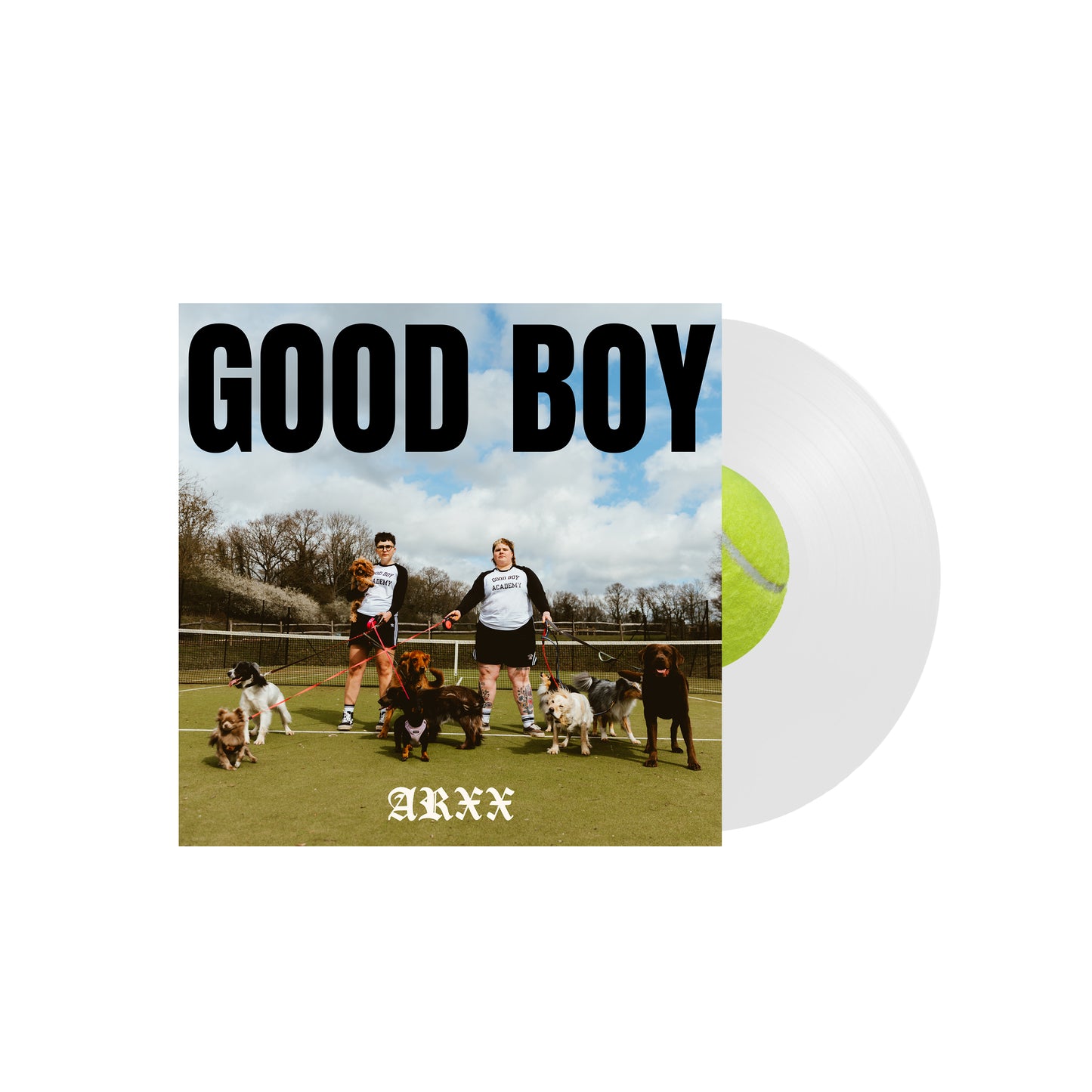 Good Boy