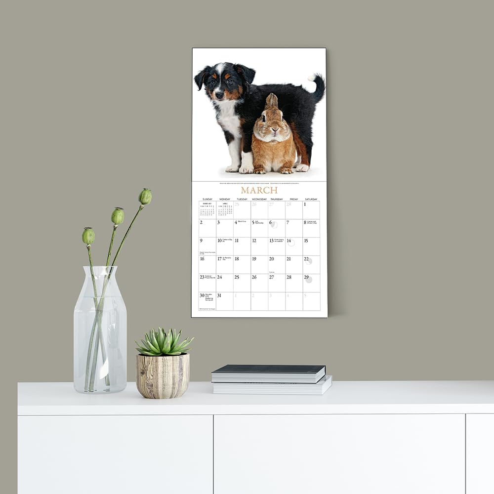 Puppies & Friends Mini Wall Calendar 2025