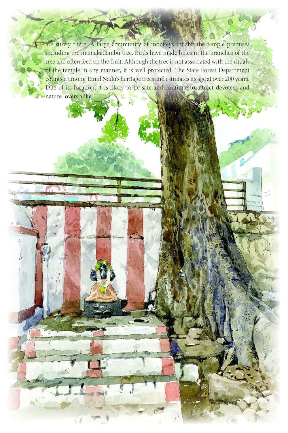 Iconic Trees of India