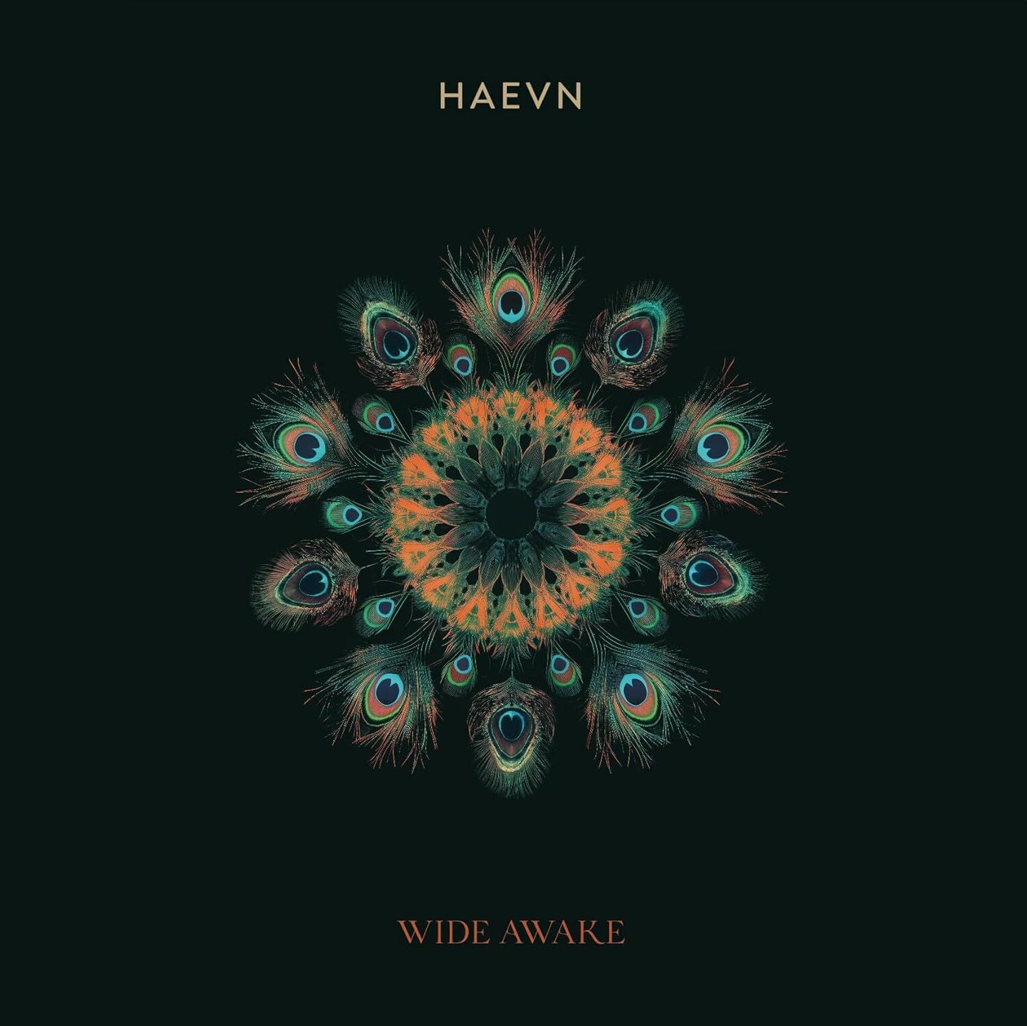Wide Awake