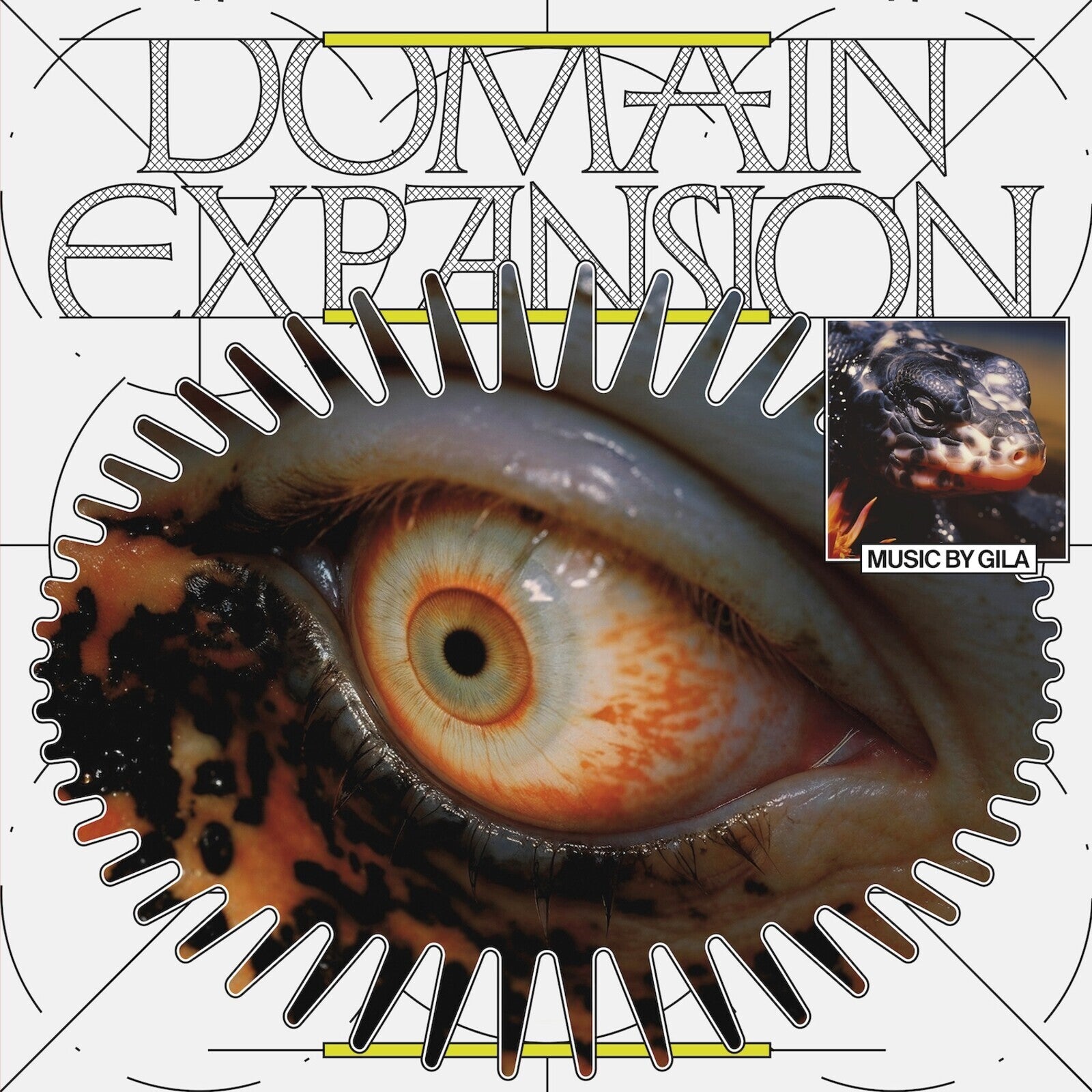Domain Expansion