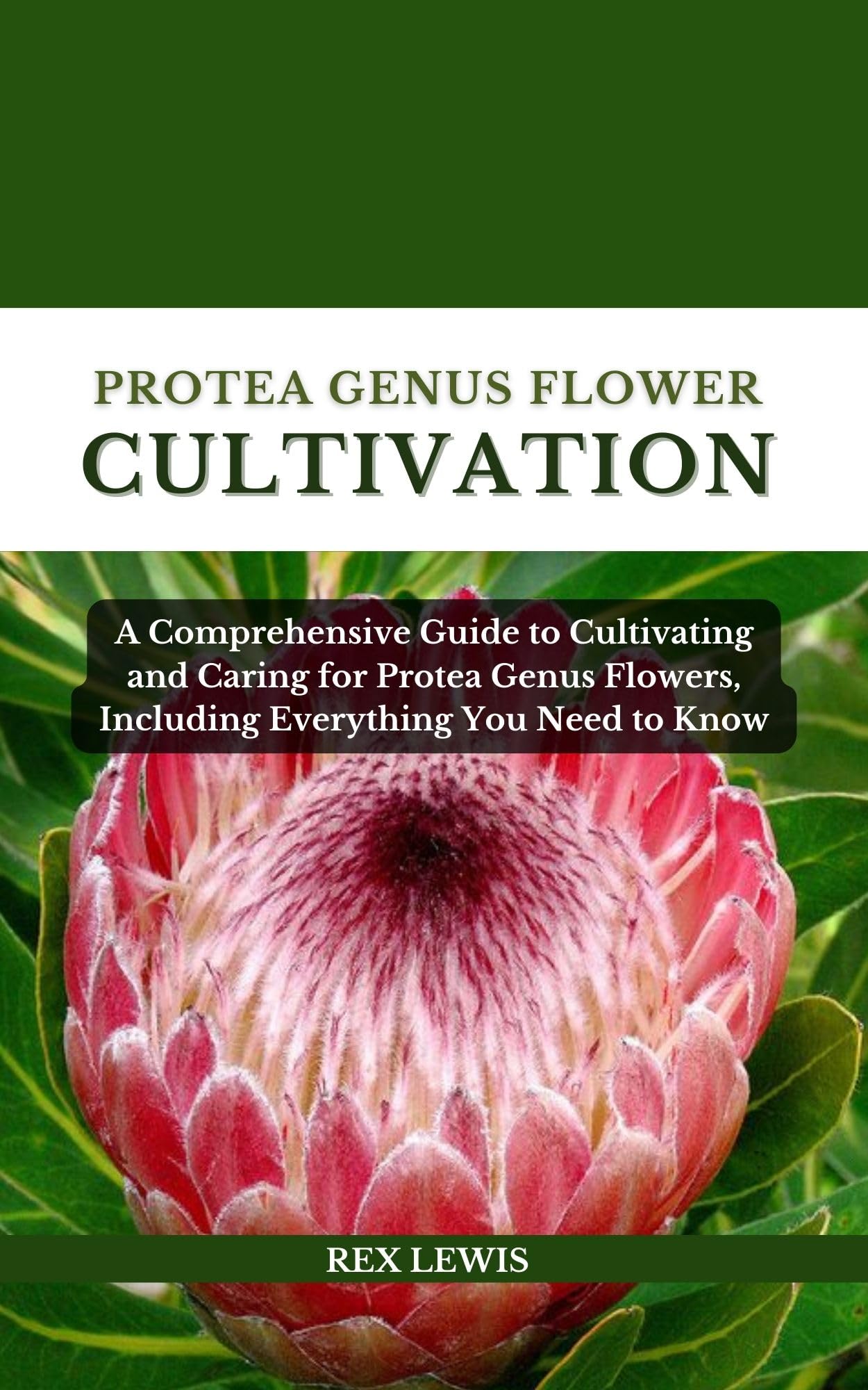 Protea Genus Flower Cultivation