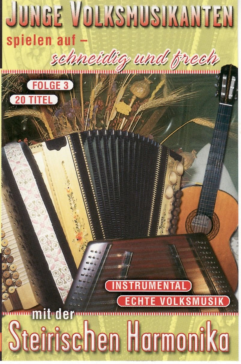Junge Volksmusikanten Spielen