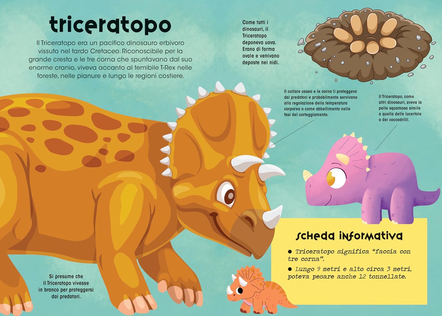 Baby dinosauri. Costruisci in 3D. Ediz. a colori. Cofanetto illustrato