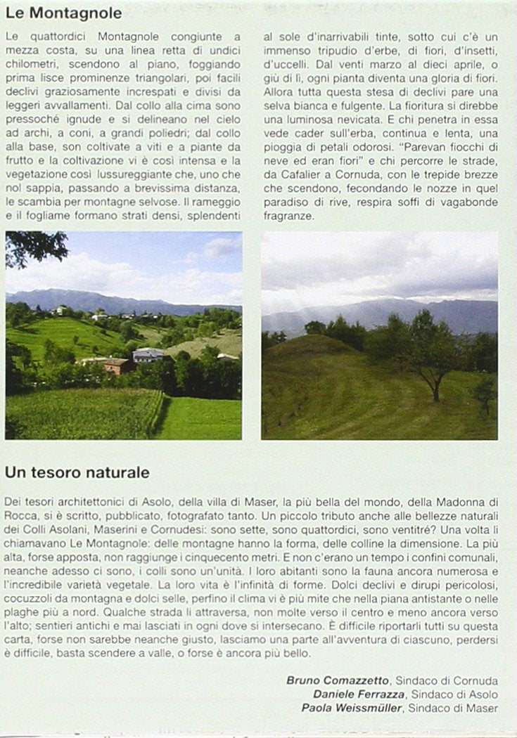 Colli Asolani Maserini E Cornudesi 1:15.000