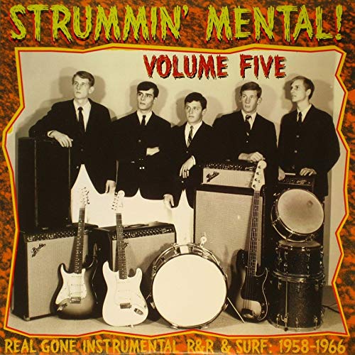 Strummin' Mental! Vol. 5