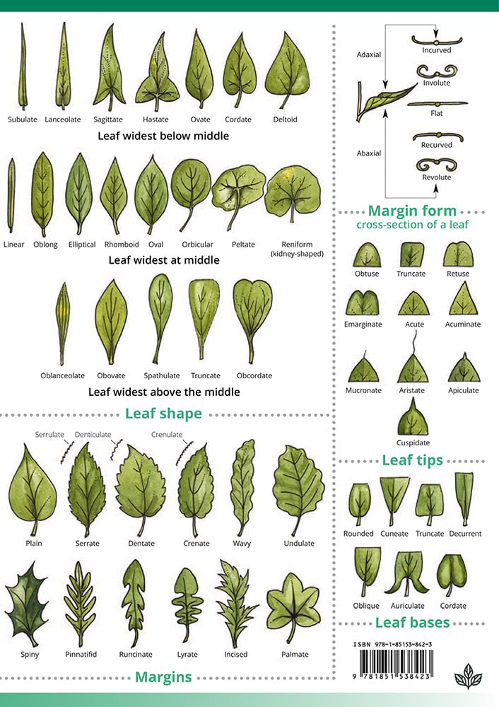 Describing Flowers