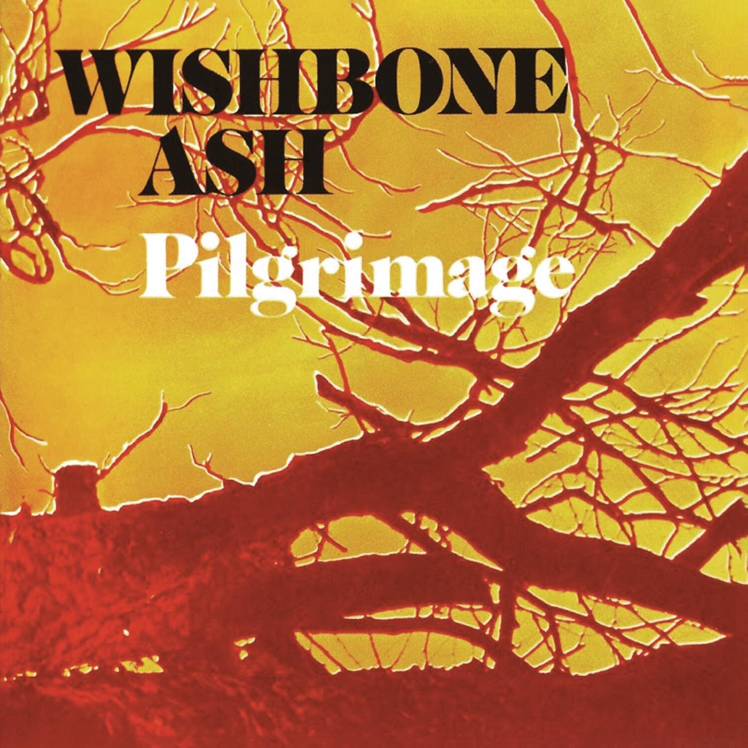 Pilgrimage