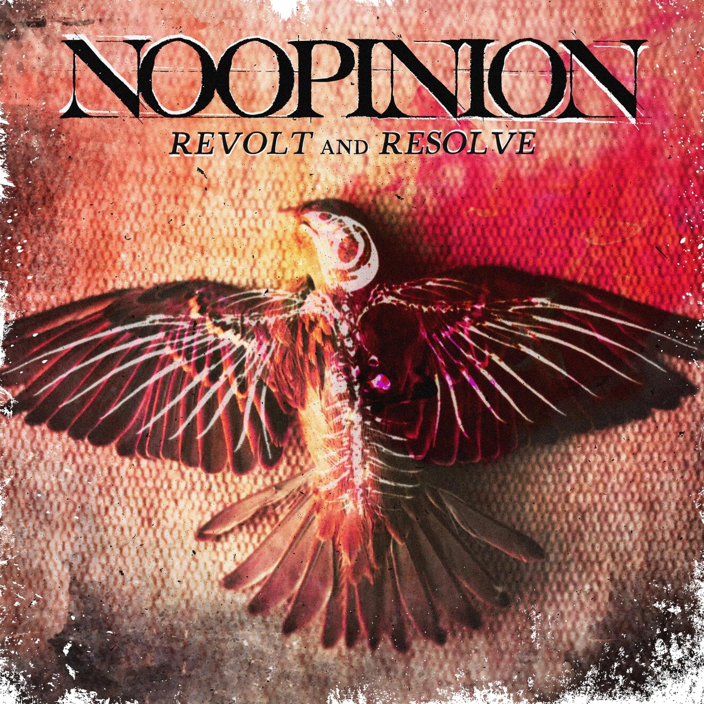 Revolte And Resolve