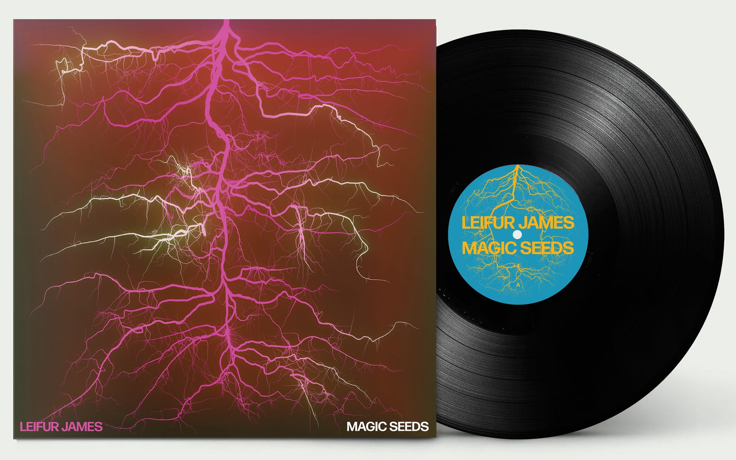 Magic Seeds