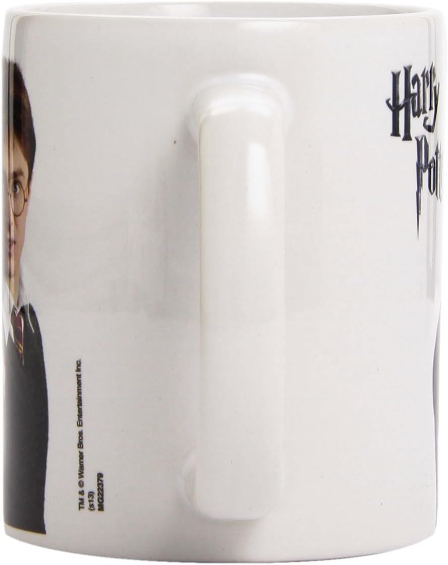 Pyramid International Harry Potter - Taza Harry Potter, 320ml (MG22379