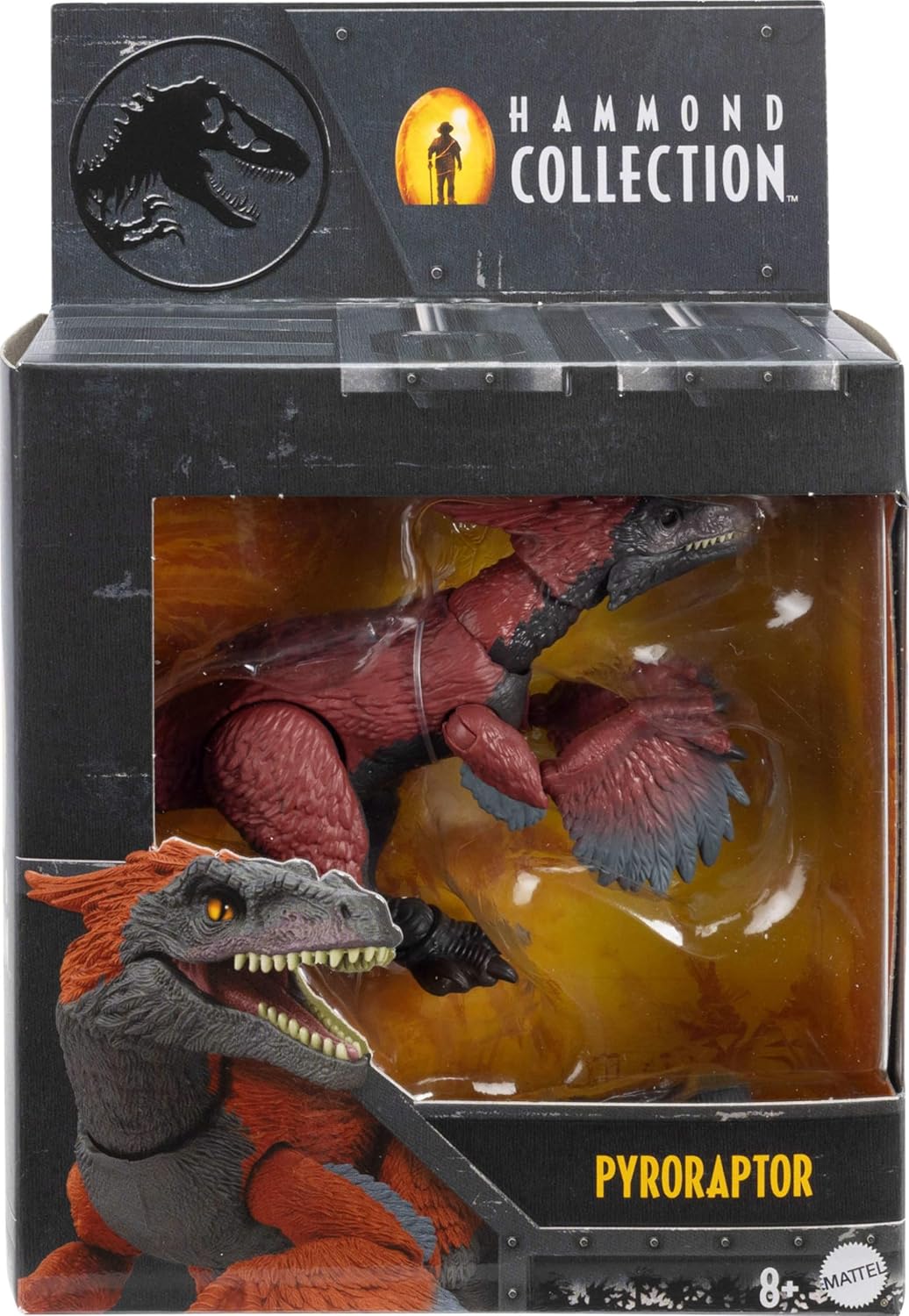 Jurassic World Hammond Collection Pyroraptor Dinosaur Action Figure Toy, Premium Movie Design with Glass Eyes, Wired Tail & 14 Articulations, HTV64