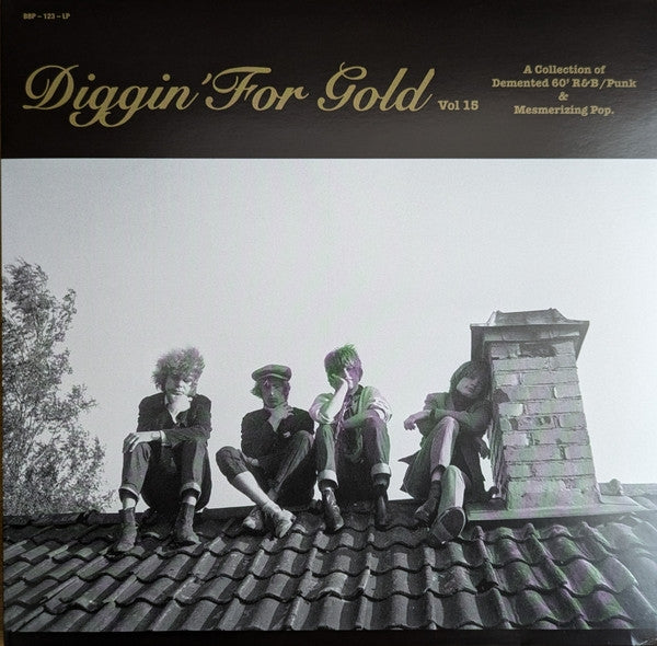 Diggin' For Gold Vol 15