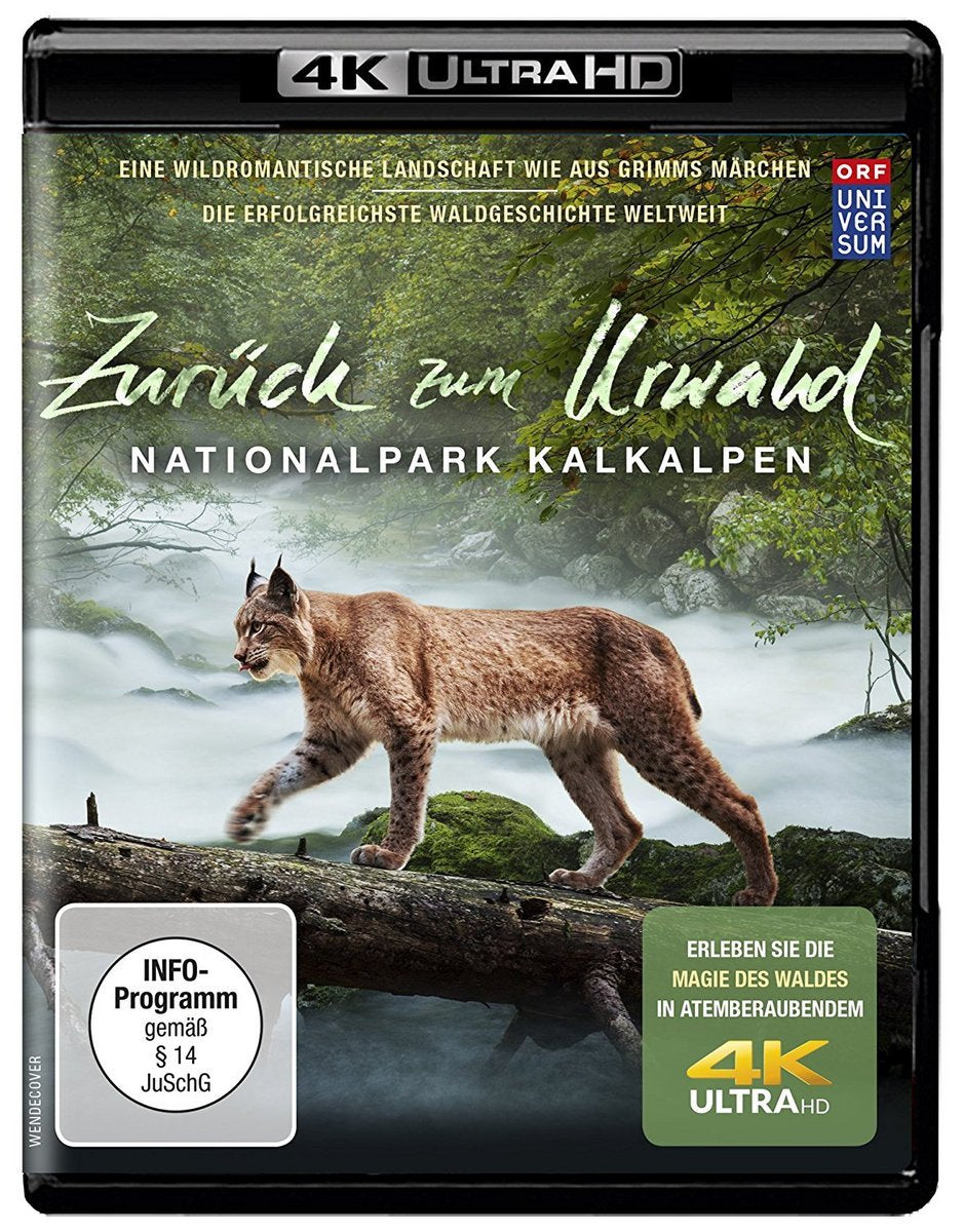 Zurück zum Urwald Ultra HD (4K)