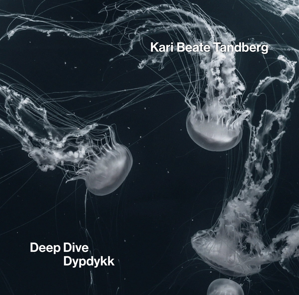 Kari Beate Tandberg: Deep Dive/Dypdykk