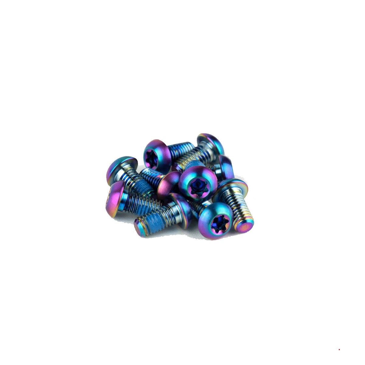 SRAM Rotor Bolt Kit Titanium T25 Bolts (Qty 12) Rainbow T25