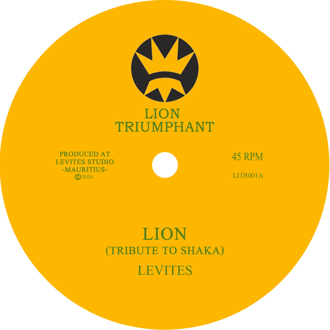 Lion (Tribute to Shaka)