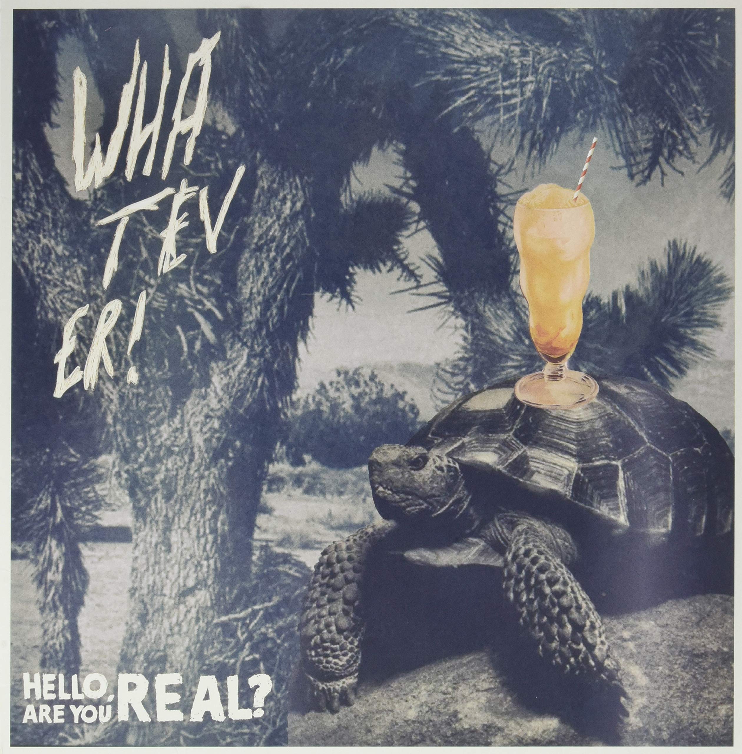 Hello Are You Real / Aron Dalesio